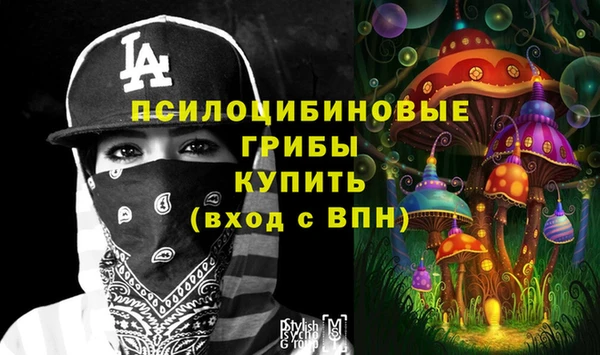 ECSTASY Богородицк